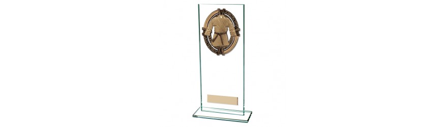 MAVERICK MARTIAL ARTS TROPHY - 5 SIZES - 12.5CM - 20CM